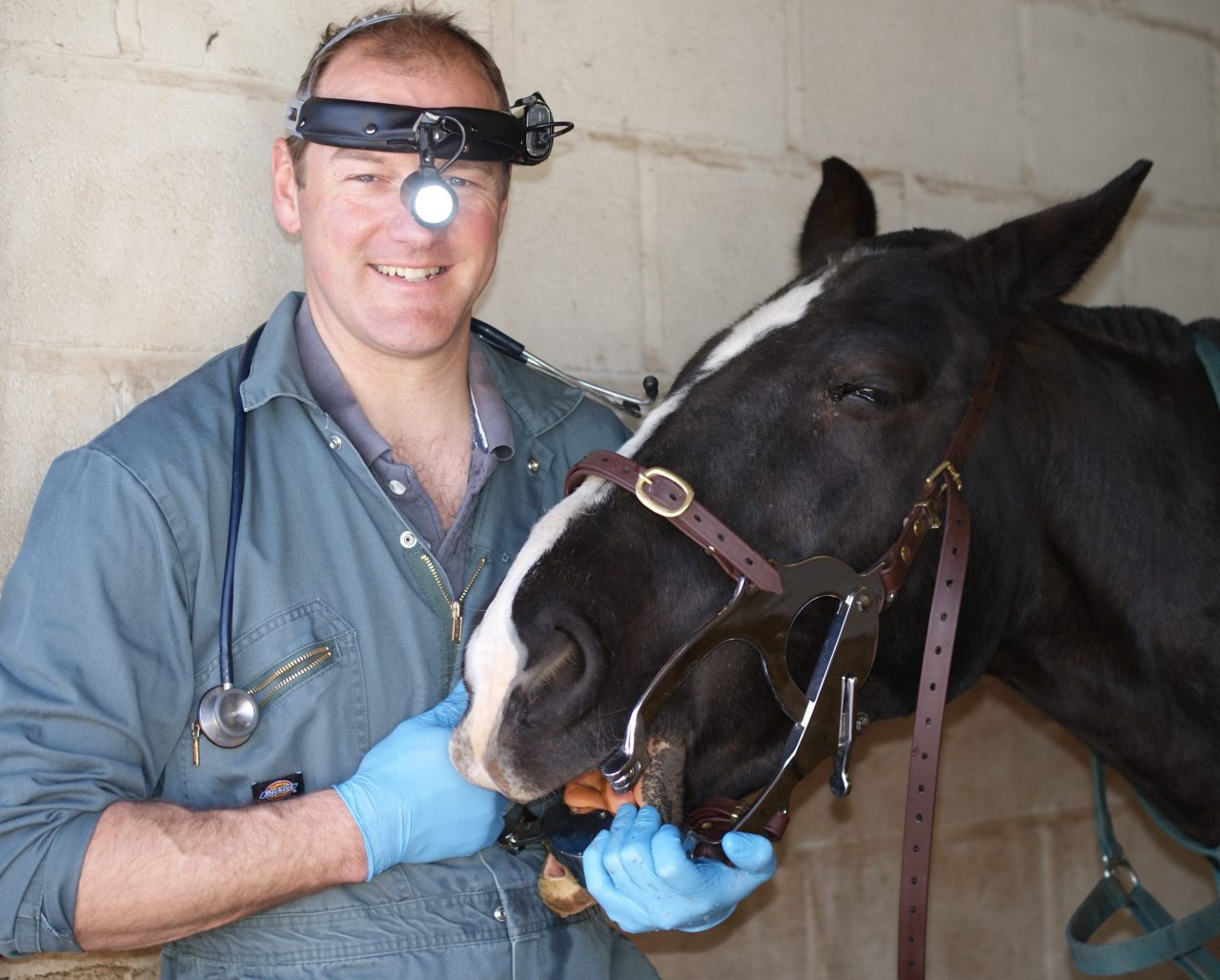 About Mark Sanderson Equine Dentistry Mark Sanderson Equine Dentist